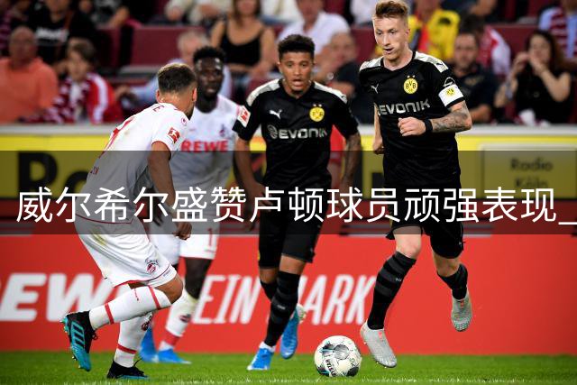 威尔希尔盛赞卢顿球员顽强表现 称战切尔西收获很大